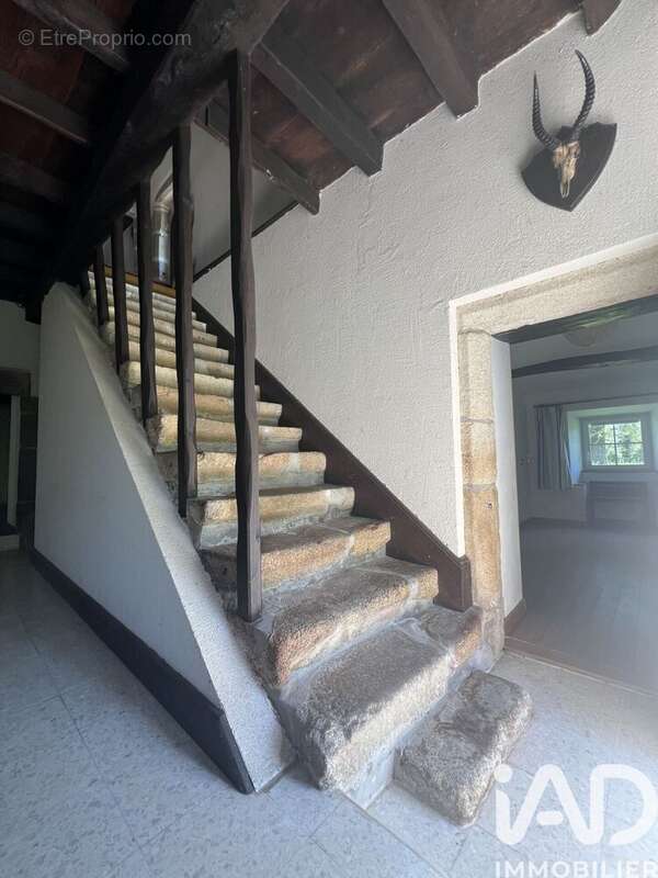 Photo 6 - Maison à LA FORET-SUR-SEVRE