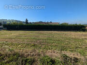 Terrain à PANISSIERES