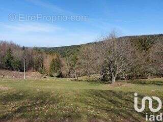 Photo 5 - Terrain à DABO