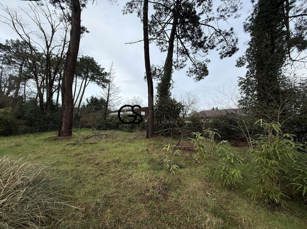 Terrain à AUDENGE