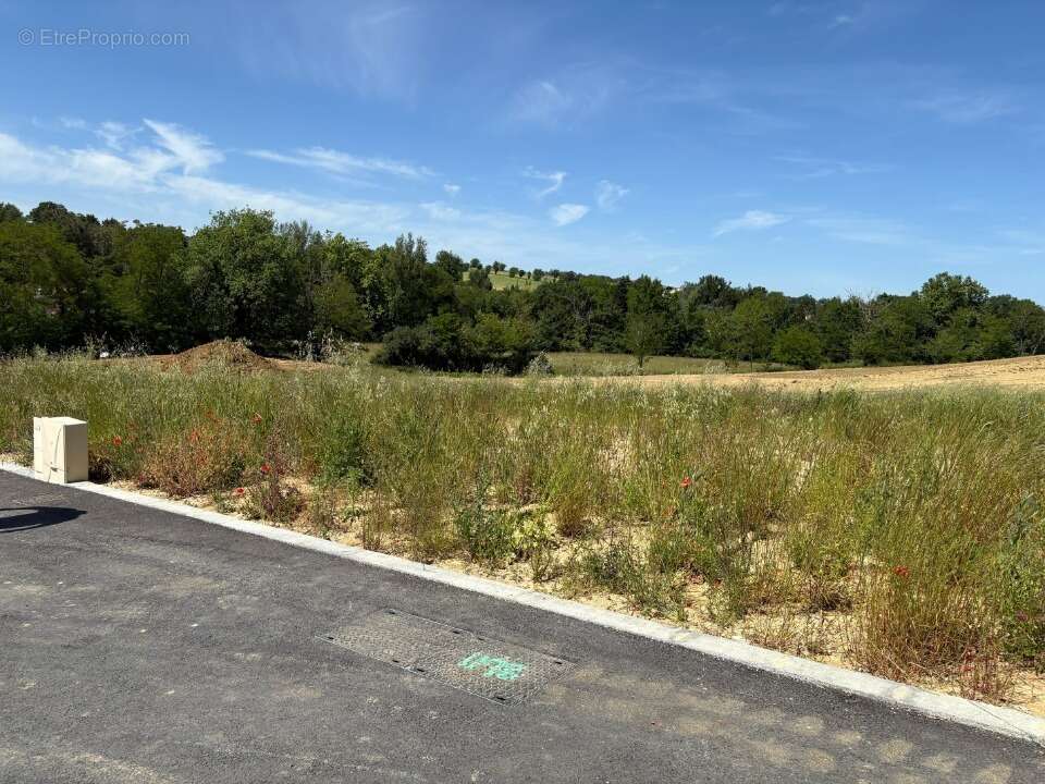 Terrain 983 m² à Verfeil  - photo 3