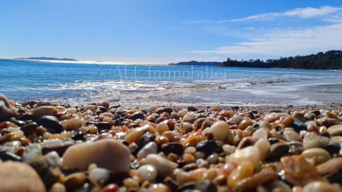 Appartement à LE LAVANDOU