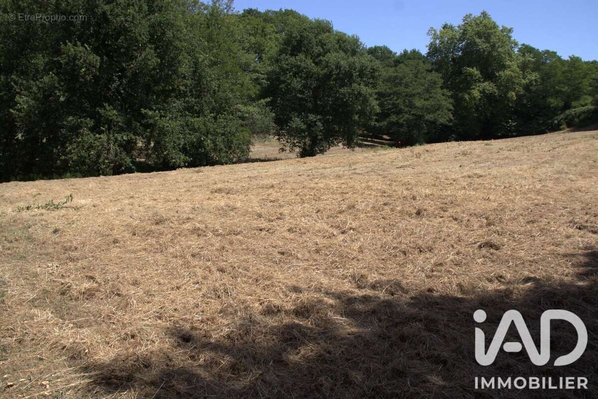 Photo 3 - Terrain à SAINT-GEOURS-DE-MAREMNE