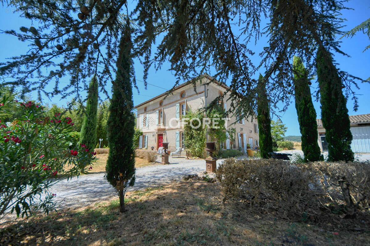 Maison à LISLE-SUR-TARN