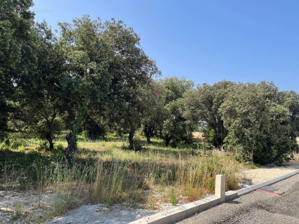 Terrain à LA BAUME-DE-TRANSIT