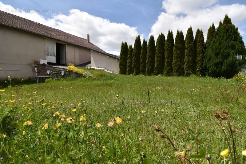 Commerce à SAINT-AGREVE