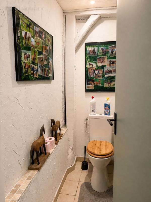Ancienne Longère de caractère 114 m² sur 1,36 ha - Eauze (Gers) - photo 32