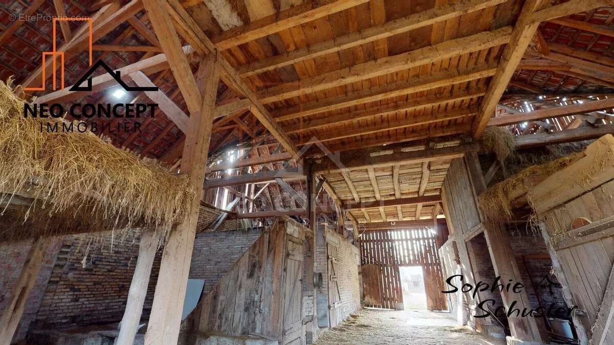 Maison à ROESCHWOOG