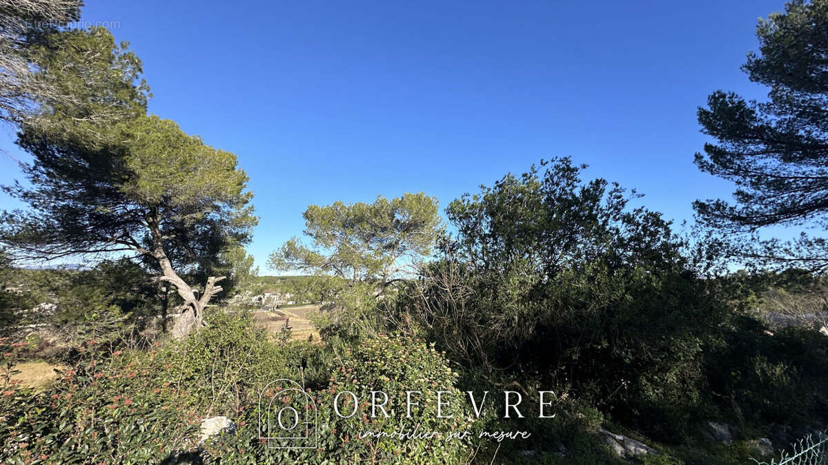 Maison à CASTELNAU-LE-LEZ