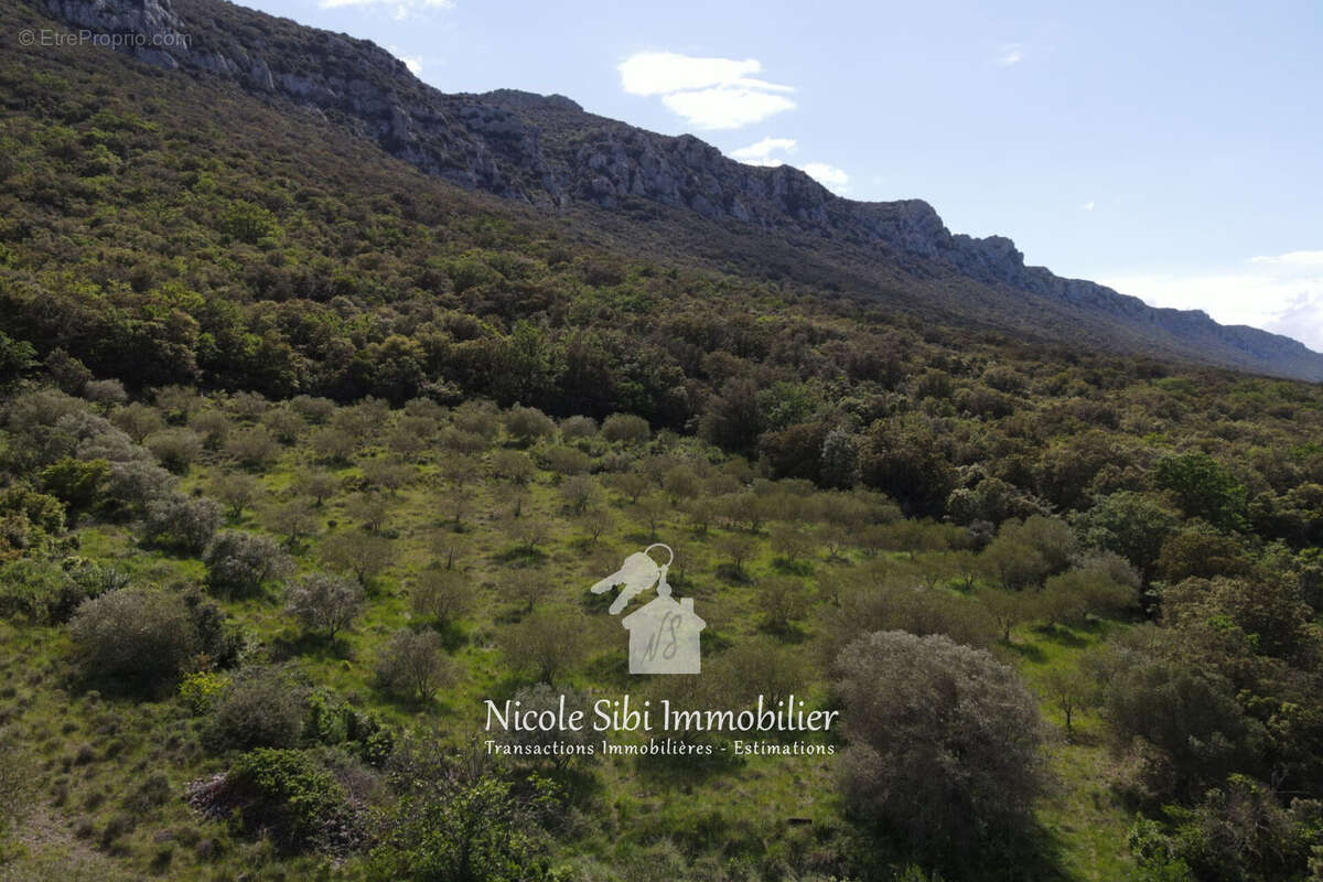 Terrain à SAINT-PAUL-DE-FENOUILLET