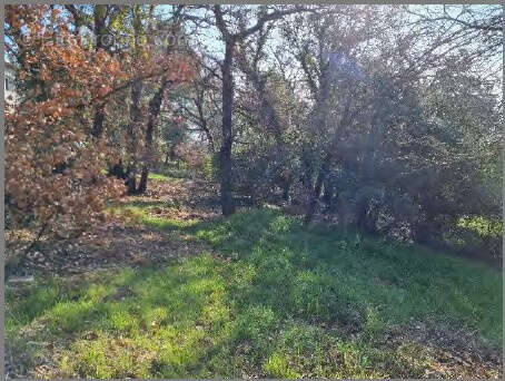 Terrain à Bâtir de 1503 m2 sur la commune de FOX AMPHOUX - photo 2