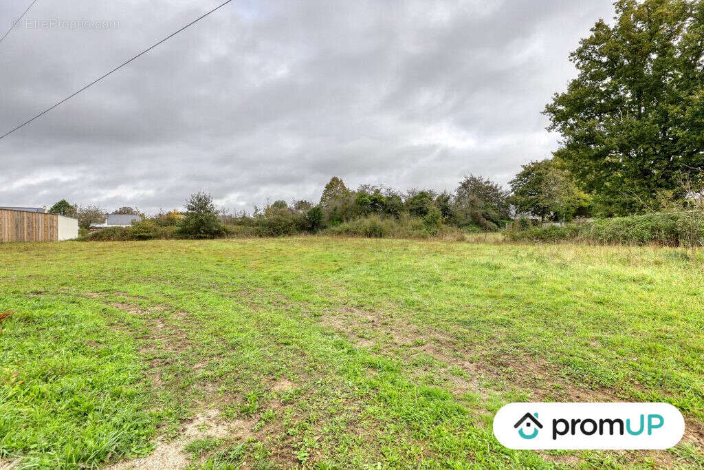 Terrain à MISSILLAC