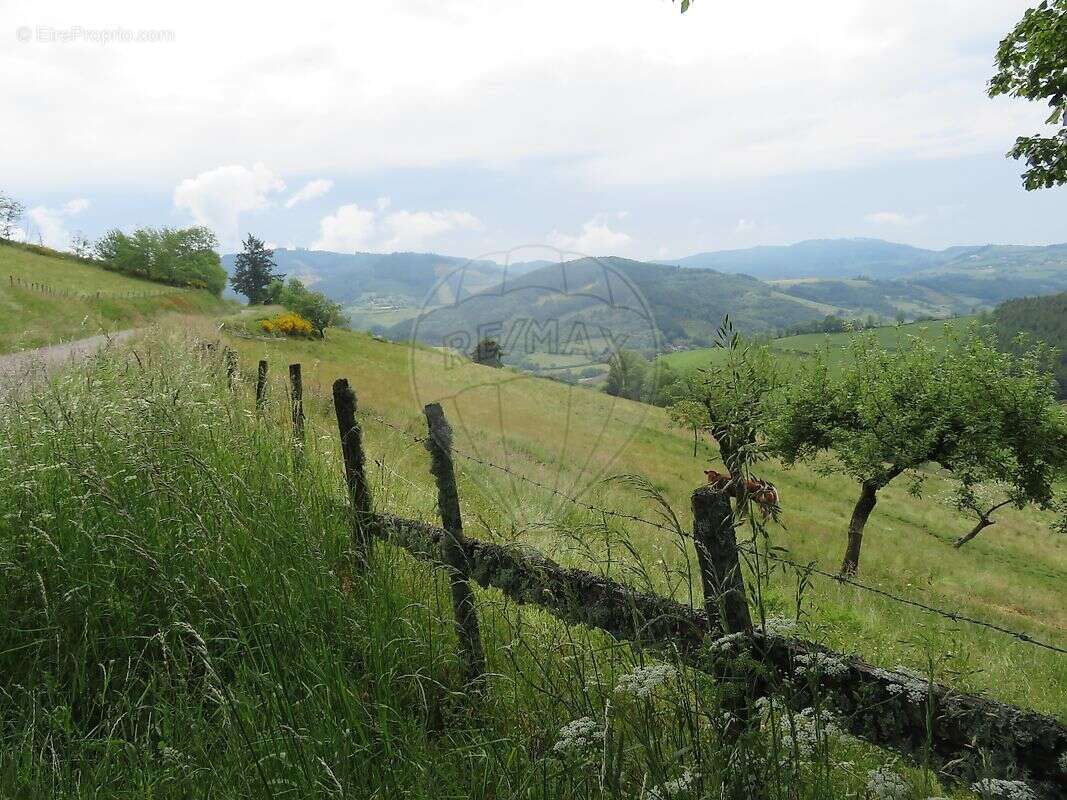Maison à SAINT-NIZIER-D&#039;AZERGUES