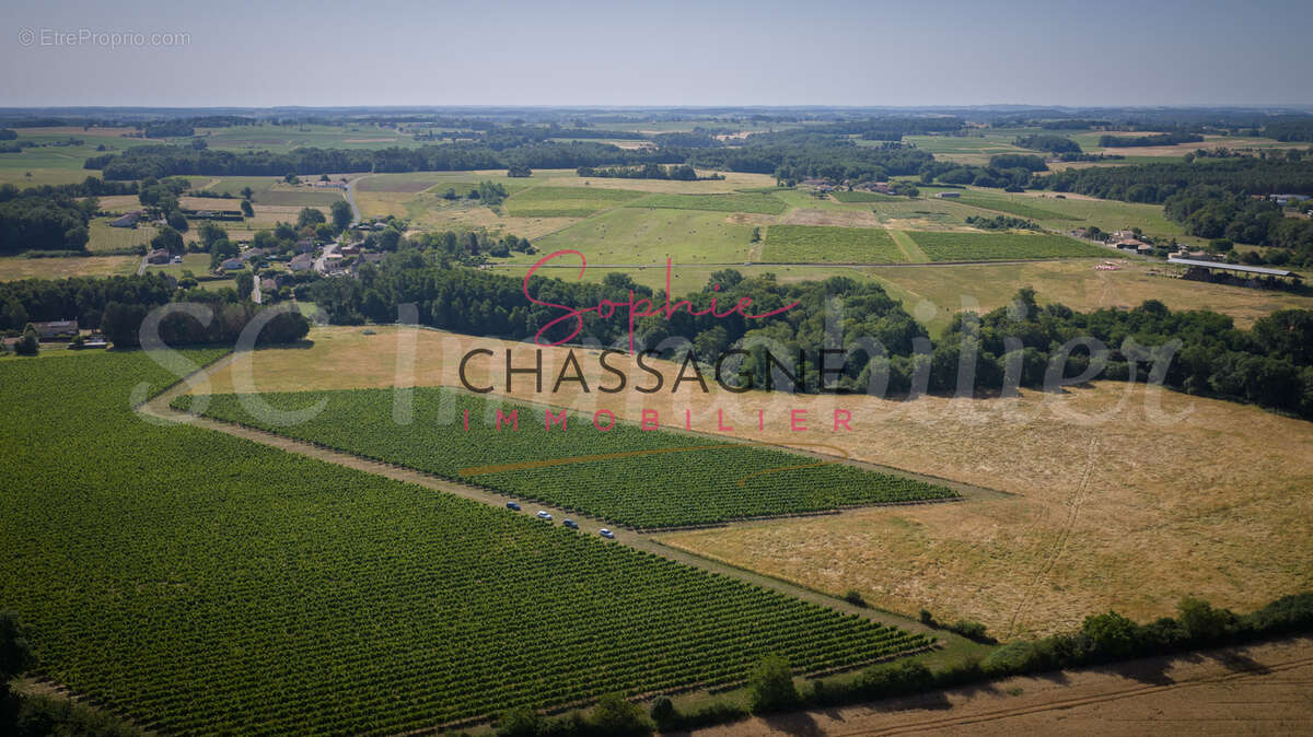 A 7 min de Sauveterre de Guyenne, 10 min de Rauzan, 20 min de Branne, sur presque de 34 hectares, - photo 4