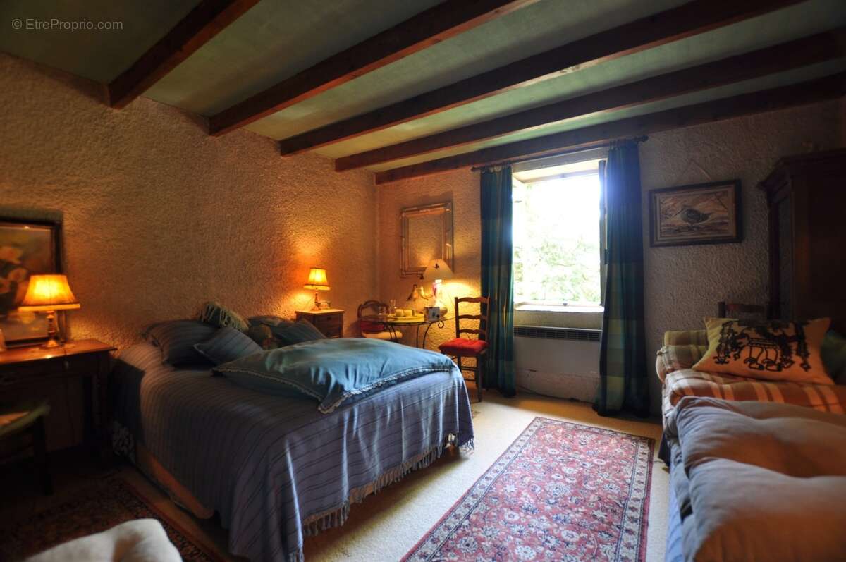 Maison de campagne dans parc arboré 3000 m². Moissieu sur Dolon 38270 - photo 15