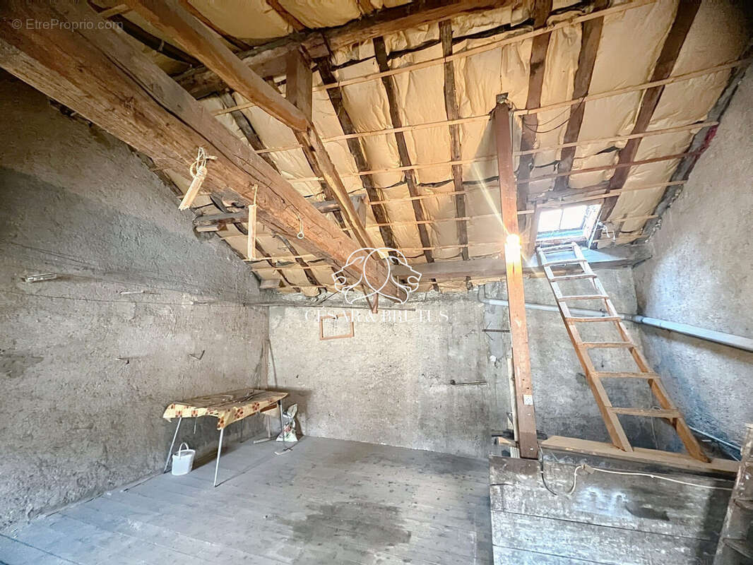 Maison 4 pièces 51 m² à vendre à Panissieres (42360) - photo 9