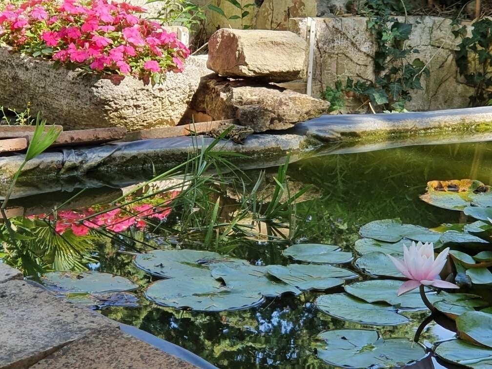 Autre à CASTELNAUDARY