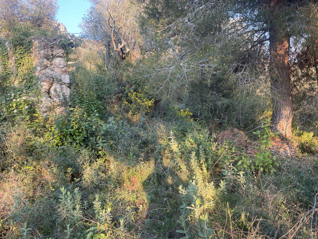 Terrain à CASTAGNIERS