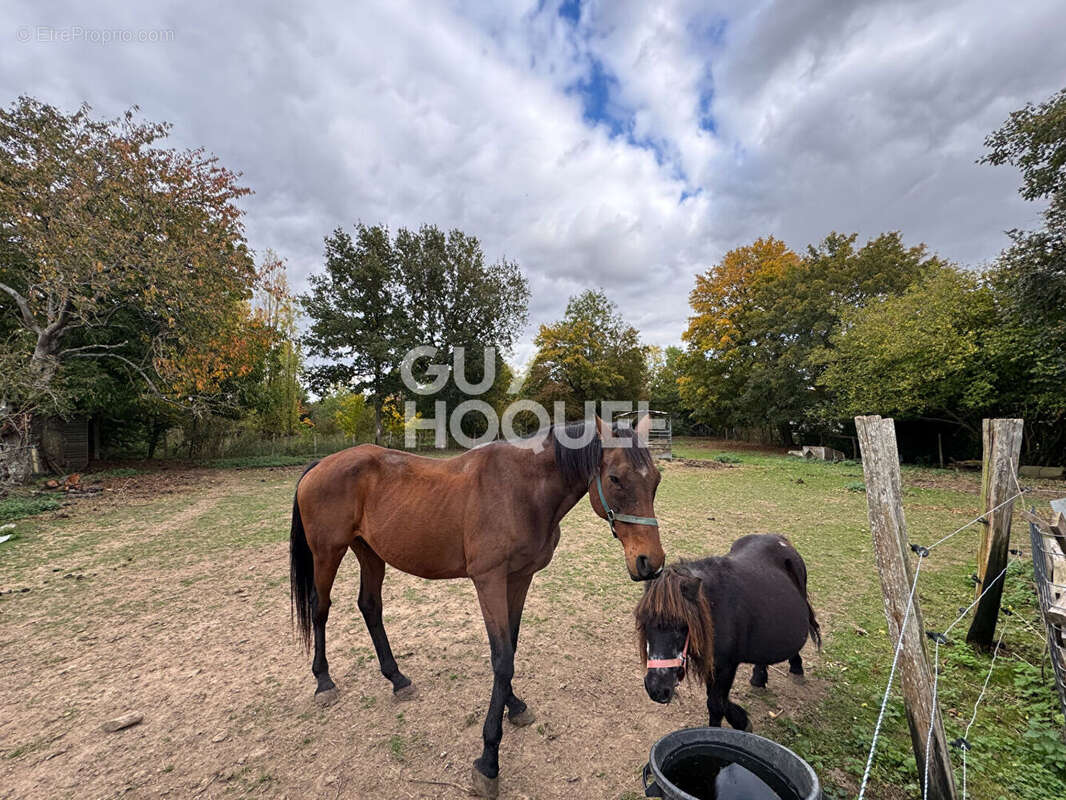 Maison à L&#039;AIGLE