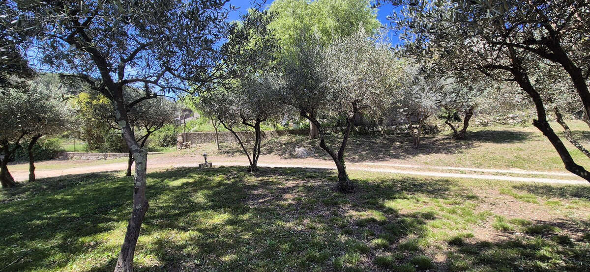 Sommieres tres beau terrain a batir de 500m2 hors lotissement - photo 5