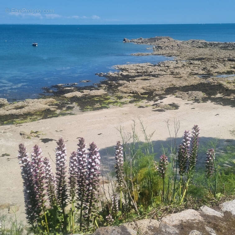 Maison à SAINT-PIERRE-QUIBERON