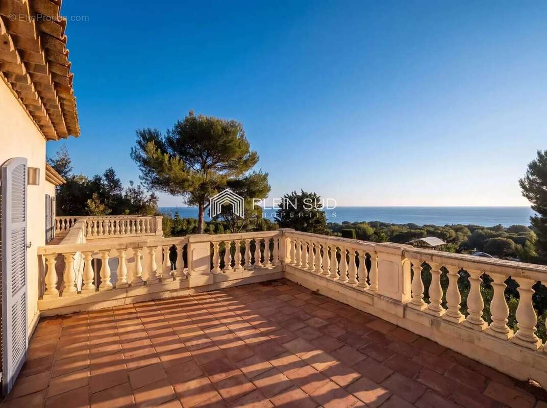 Saint Jean Cap Ferrat, emplacement exceptionnel ! - photo 4