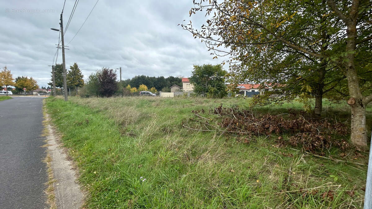 Terrain à LEZOUX