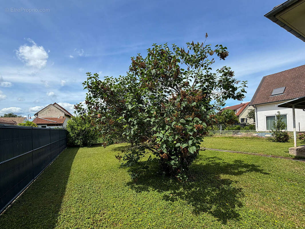 Maison à ENTZHEIM
