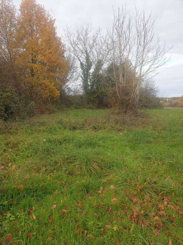 Maison à SAINT-BONNET