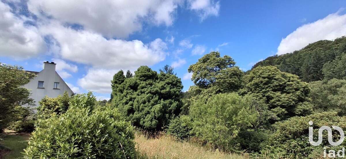 Photo 2 - Maison à LANGONNET