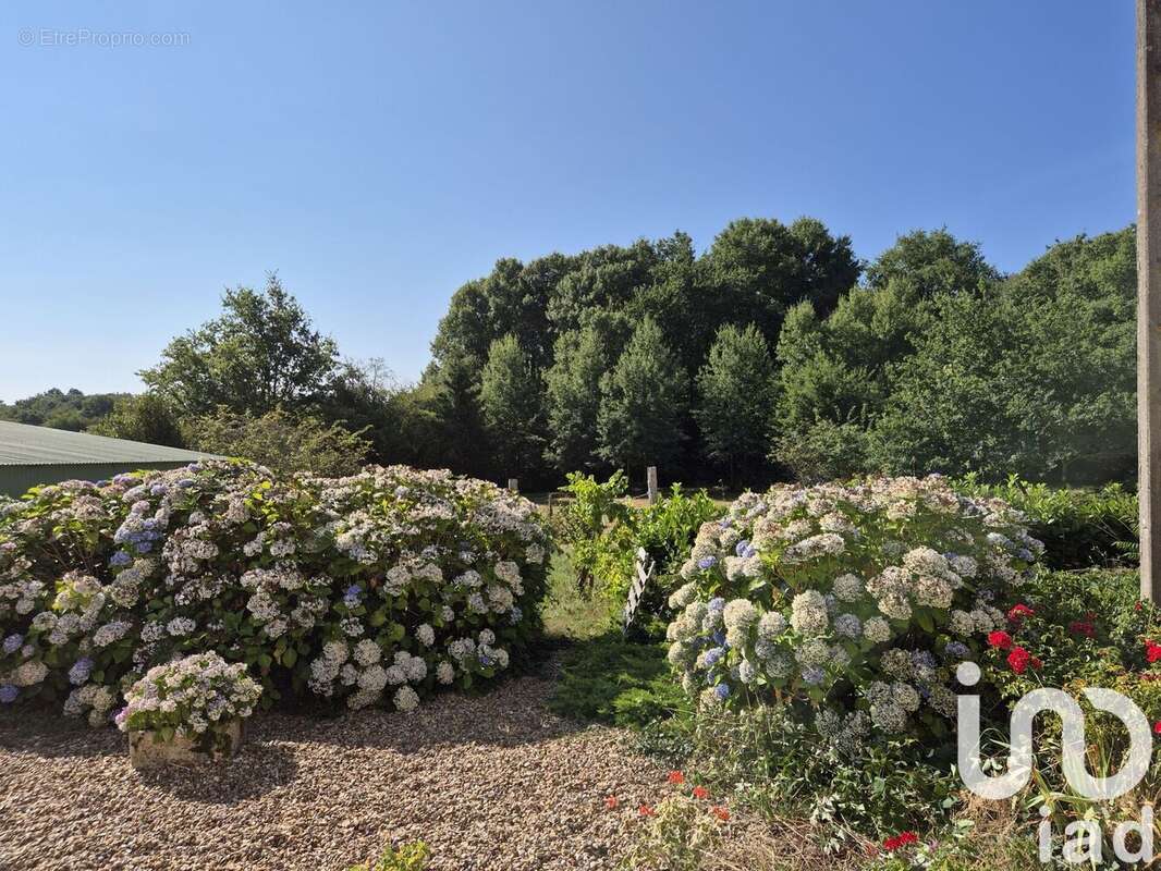 Photo 3 - Maison à NEUVY-BOUIN