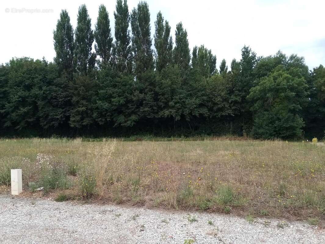 Photo 2 - Terrain à MONTPELLIER-DE-MEDILLAN