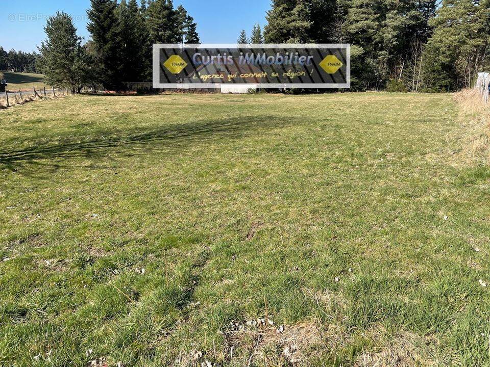 Terrain à SAINT-PAL-DE-MONS