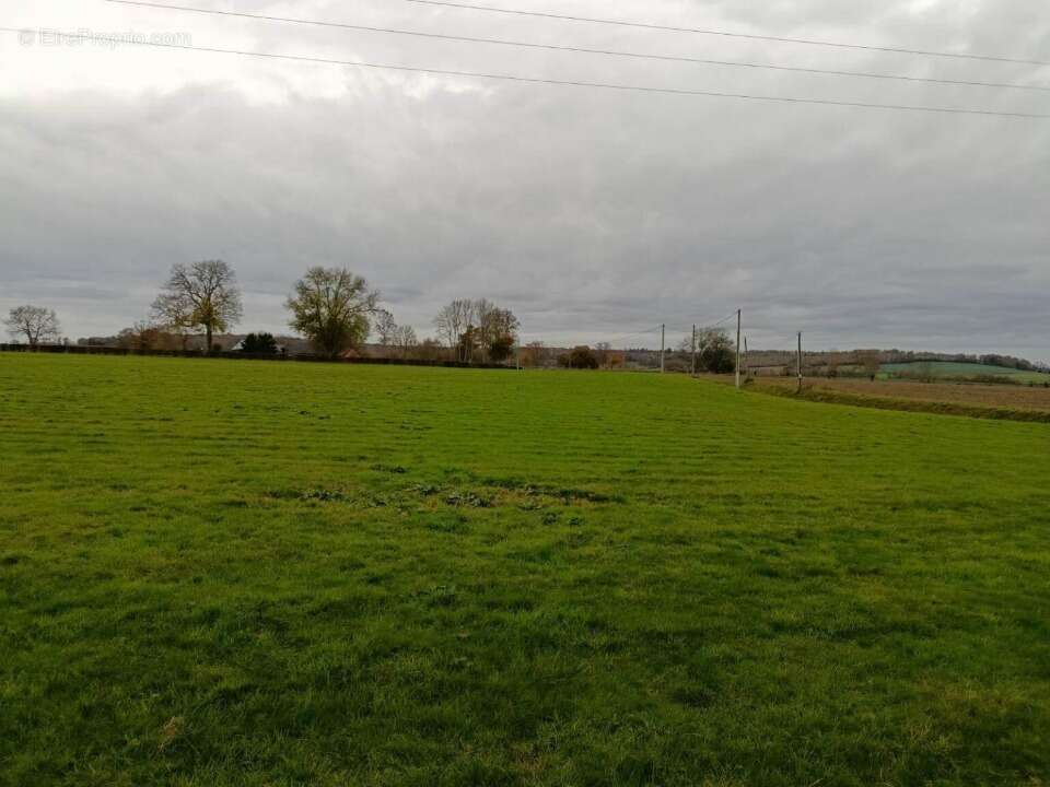 Terrain à MENONVAL