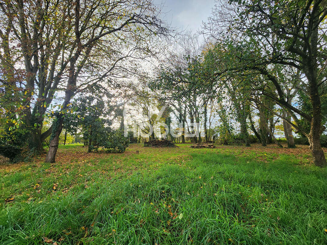 Maison à PLEUDIHEN-SUR-RANCE