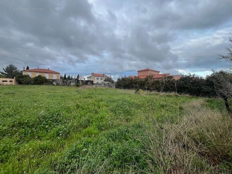 Terrain à RIVESALTES