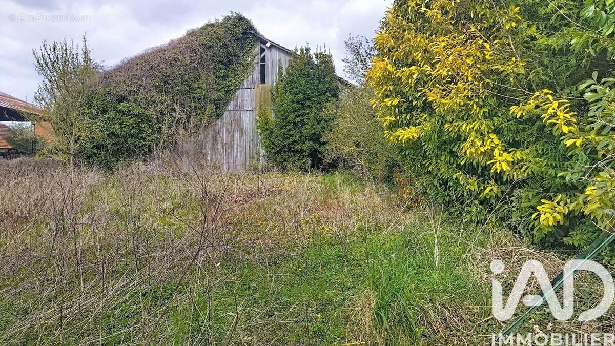 Photo 3 - Terrain à MAIZIERES-LA-GRANDE-PAROISSE