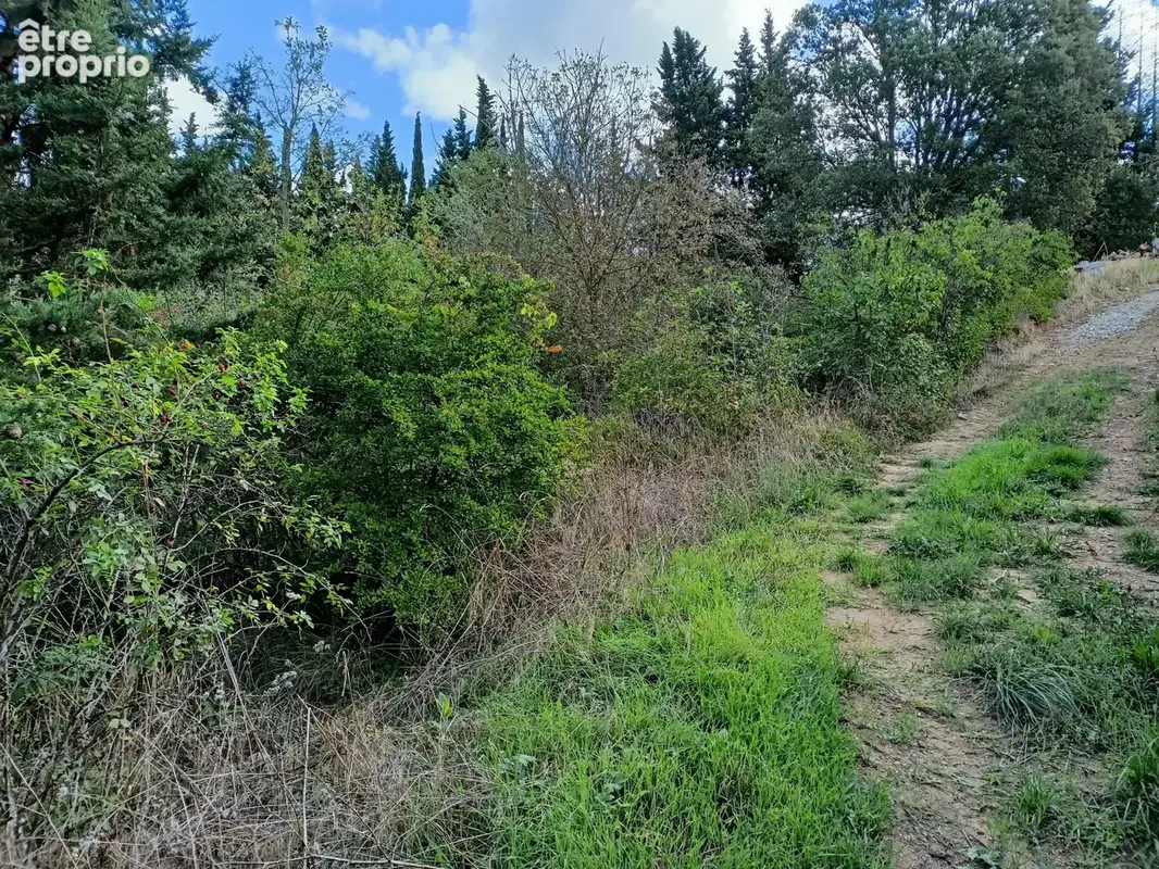 Terrain à MAGRIE