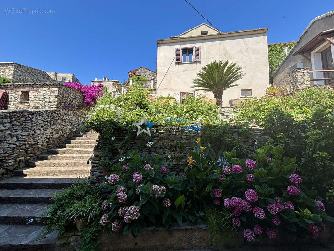 Maison à BRANDO