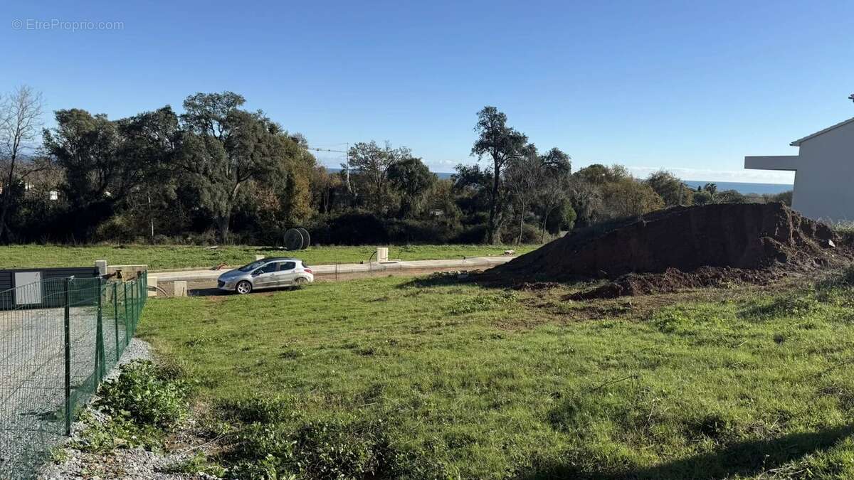 Terrain à POGGIO-MEZZANA