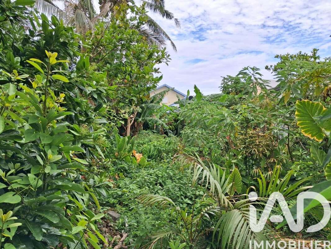 Photo 2 - Terrain à SAINT-BENOIT