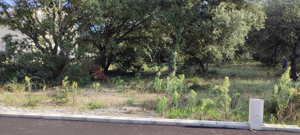 Terrain à LA BAUME-DE-TRANSIT