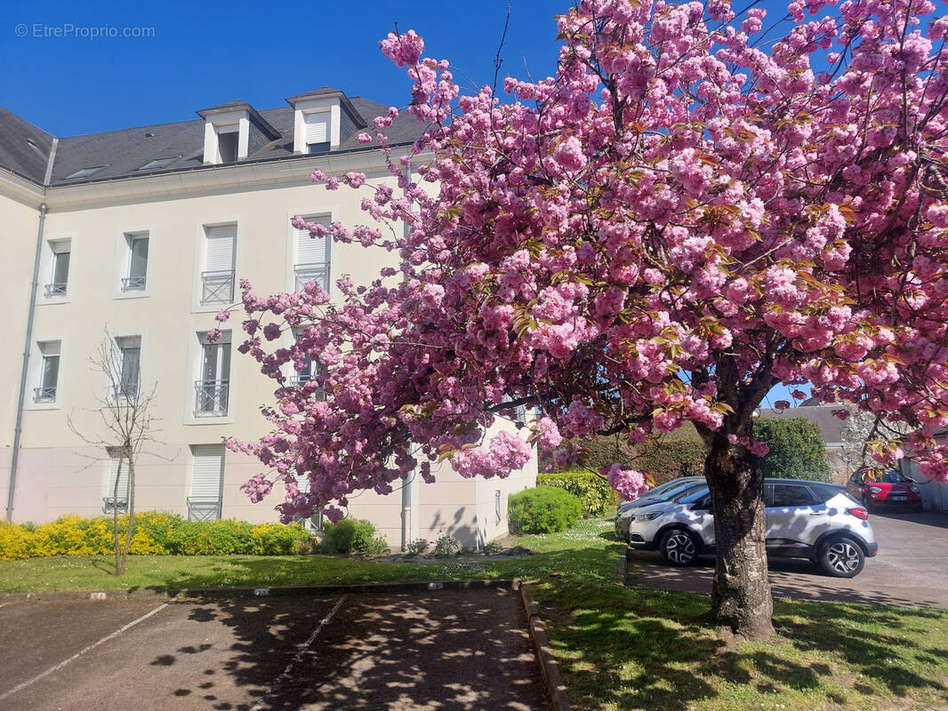 Appartement à LA FLECHE