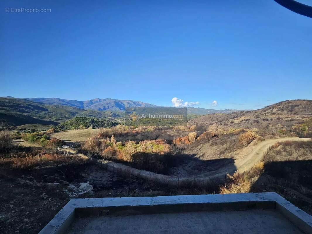 Appartement à OLMETA-DI-TUDA