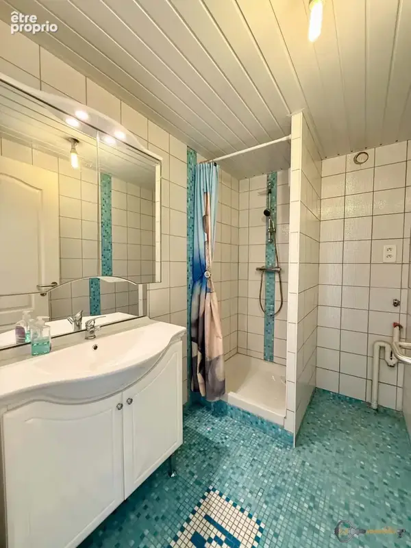 Maison 7 pièces 163 m² à vendre à Rohrbach-Les-Bitche (57410) - photo 9