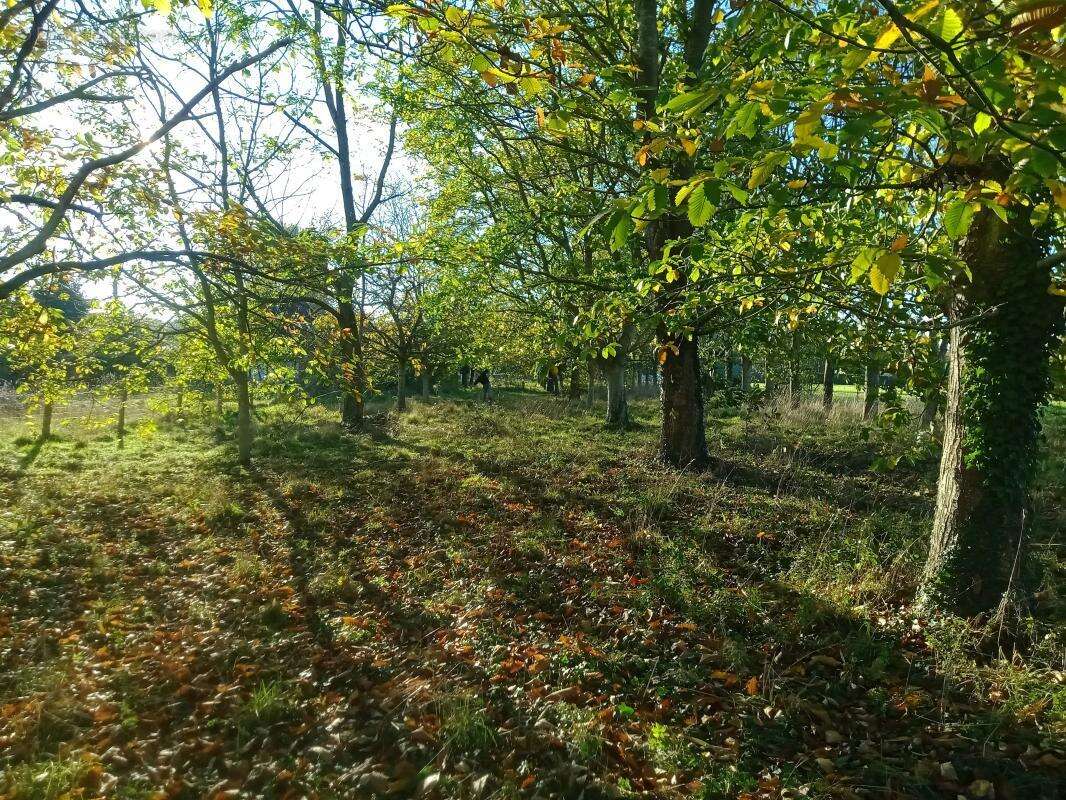Maison à BOURG-ACHARD