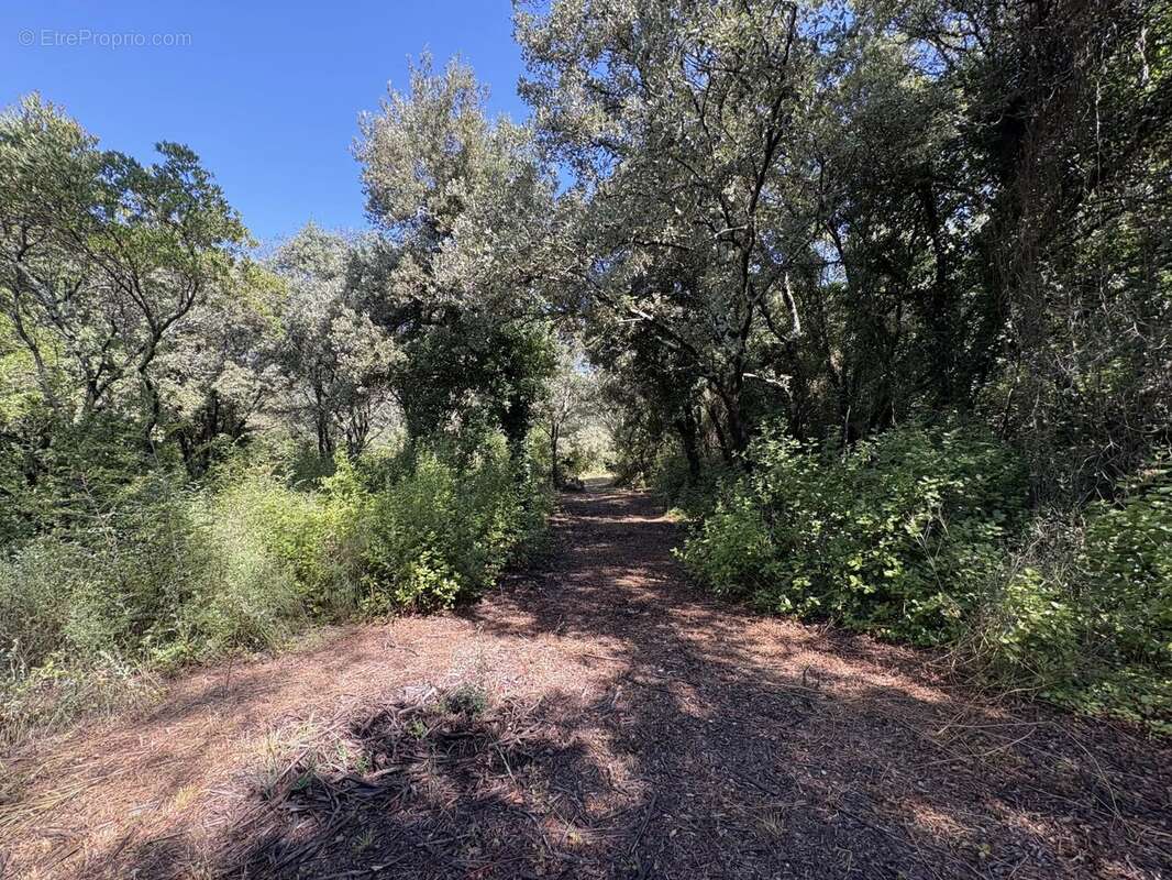 Terrain de 2 695 m² - photo 3