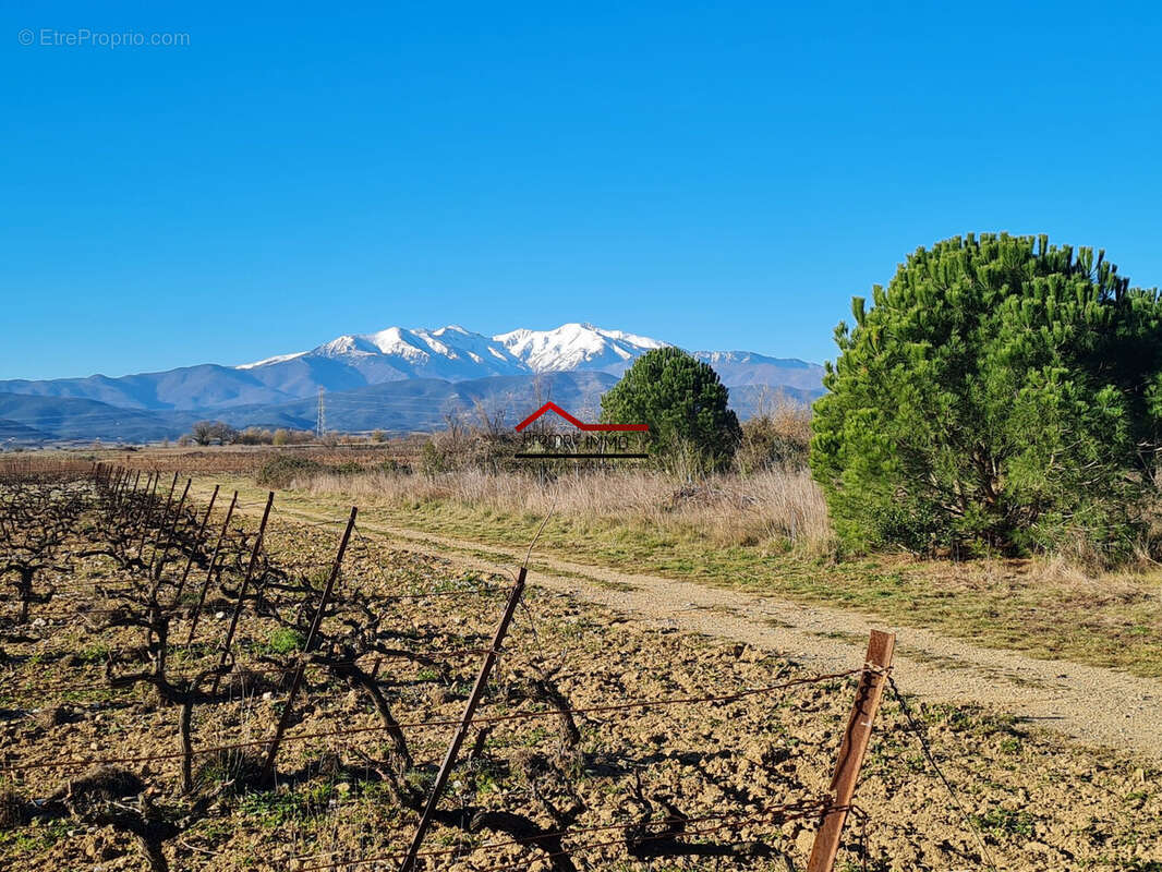 Terrain à TROUILLAS