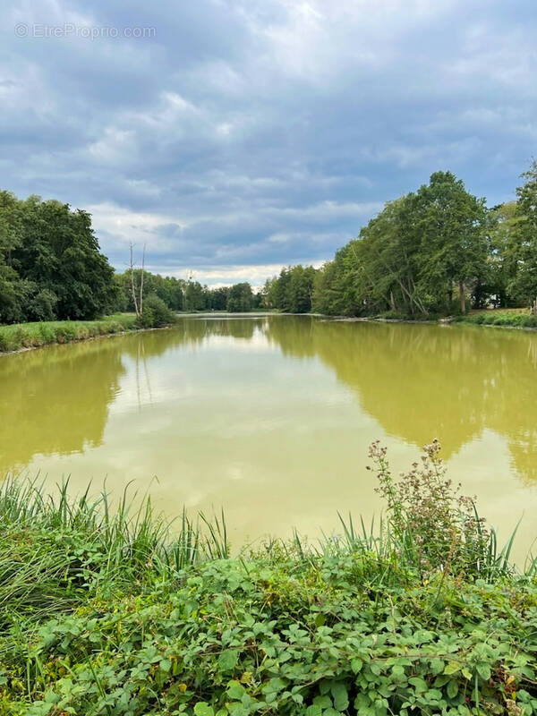 Terrain à SULLY-SUR-LOIRE