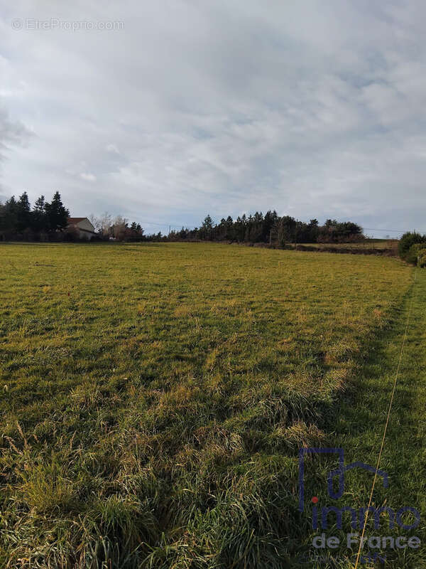 Terrain à MONTBRISON